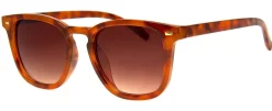 AJ Morgan Eyewear Vintage-Inspired|Rectangular*Census Taker